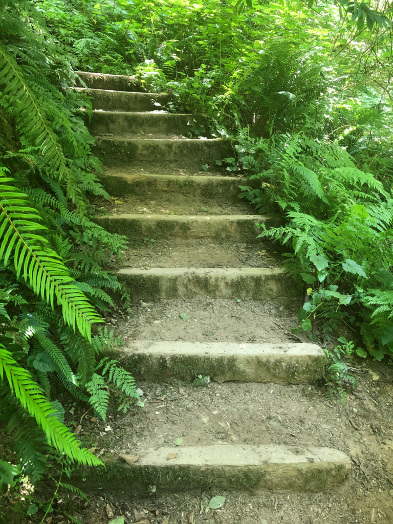 stairs for transpersonal life coaching